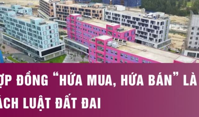 Kết Cục Bị Xử Lý Của Kẻ Lừa Đảo Mua Bán Nhà Đất Gia Lai