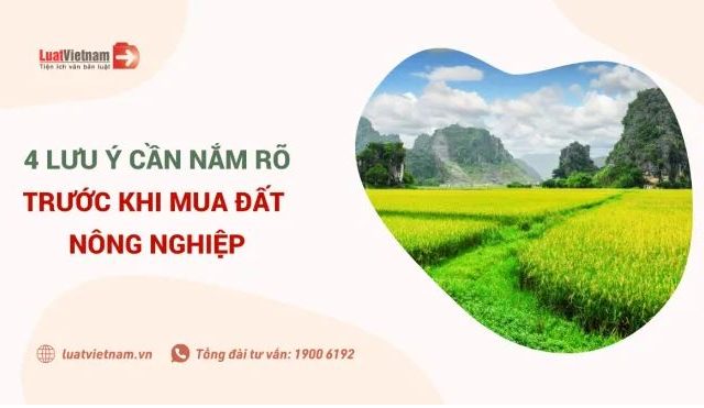 4 lưu ý cần nắm rõ trước khi mua đất nông nghiệp