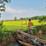 A/S 09 – Có sản phẩm VIP 1 hecta giáp suối Chư Á nè bạn