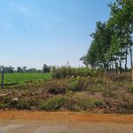 A/S 12 – Cần bán đất 10m hẻm Trương Định, 500m vuông